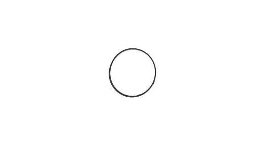 Back-Up Ring 19mm ID x 20mm OD x 2.05mm Thk — universal CNH service part, fits 335 models — 44015841