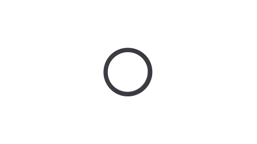 Seal 15.6mm ID x 18.96mm OD x 1.68mm Thk — fits 165 models across the New Holland lineup — 4895297