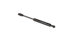 Gas strut, 248mm extended / 171mm compressed. Supports access panels or covers with controlled opening force.