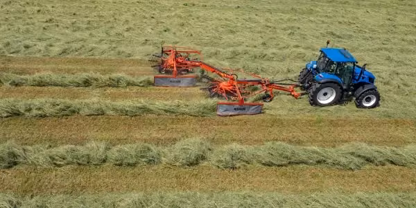 Kuhn 1119
