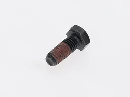 Screw With Adhesive Coating